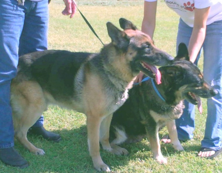Lady and Duke